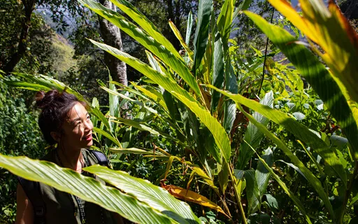 Yoga Nidra: Morning Intention Setting