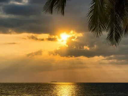 Yoga Nidra - Morning Reset To Start Your Day