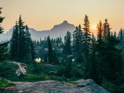 Yoga Nidra Music For Anxiety Relief