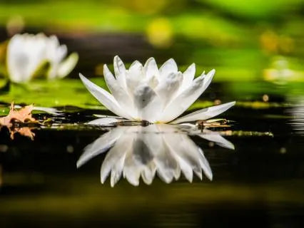 Yoga Nidra Music For Chakra Healing