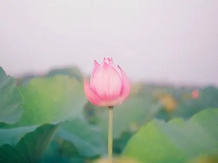 Yoga Nidra Music For Deep Relaxation