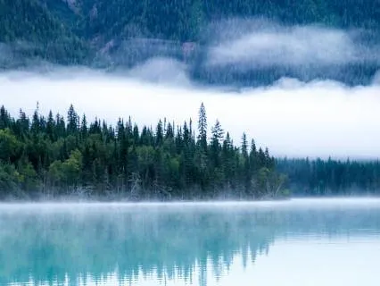 Yoga Nidra Music for Stress Reduction