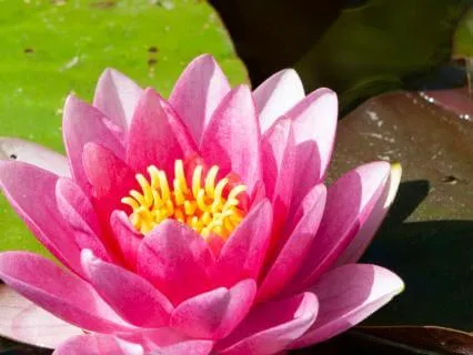 Yoga Nidra Music for Tranquility