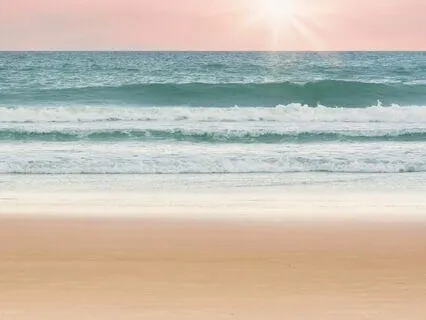 Yoga Nidra Nervous System Reset