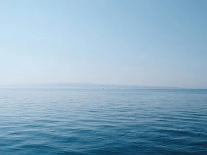 Yoga Nidra - Nervous System Reset