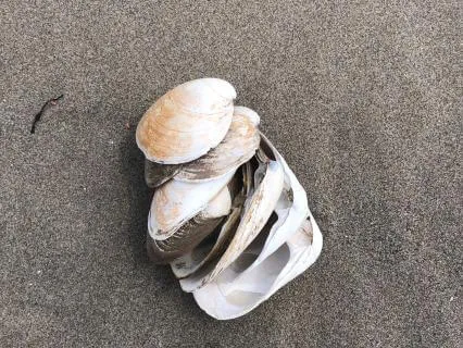 Yoga Nidra: Non-Death Loss Grief (Live, No Music)