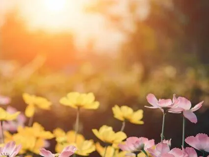 Yoga Nidra: Nourishing Earth Element