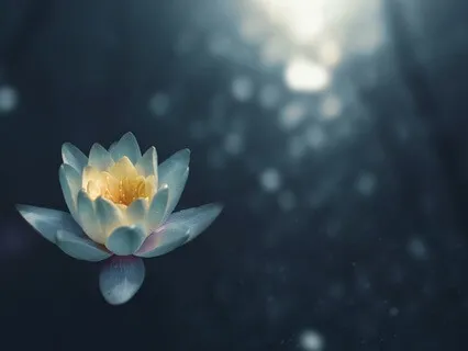 Yoga Nidra - Nourishing Prana Vayu