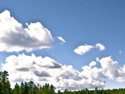 Yoga Nidra/ NSDR For Eco -Anxiety