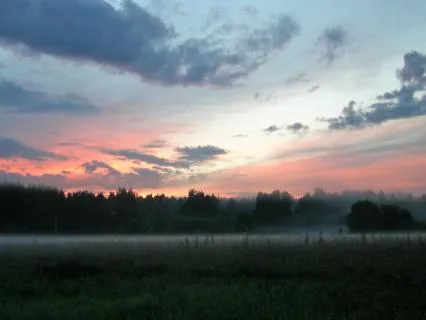 Yoga Nidra/NSDR For New Opportunities