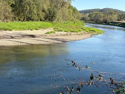 Yoga Nidra Creating Calm