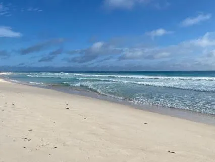 Yoga Nidra Ocean Breath