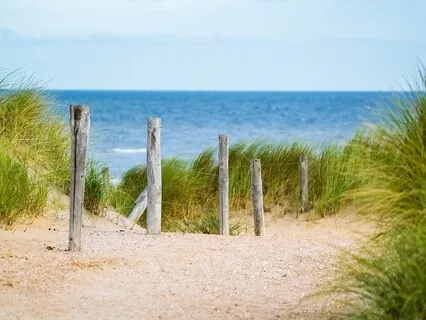 Yoga Nidra: Ocean Treasure