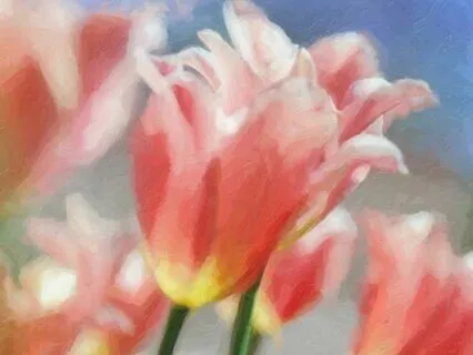 Yoga Nidra Of Growth And Change