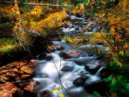 Yoga Nidra On Experiencing Flow