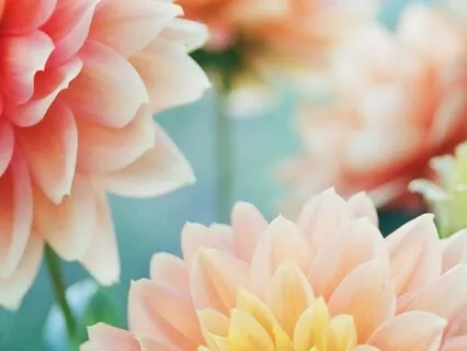 Yoga Nidra On Gratitude