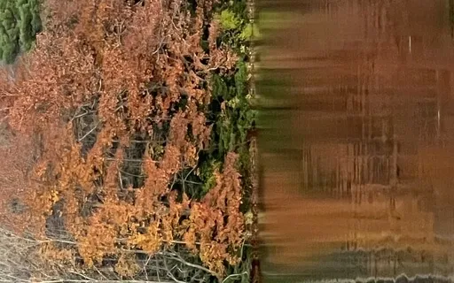 Yoga Nidra On Opposites