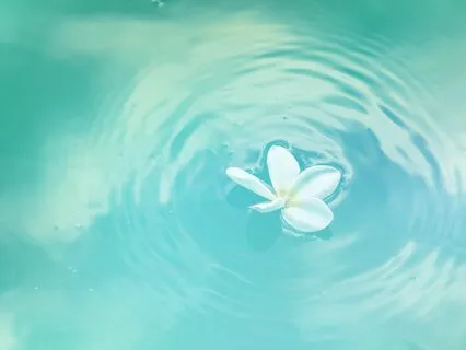 Yoga Nidra: Opposites Attract