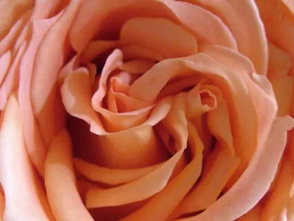 Yoga Nidra: Peace & Patience