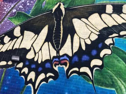 Yoga Nidra: Permission To Rest