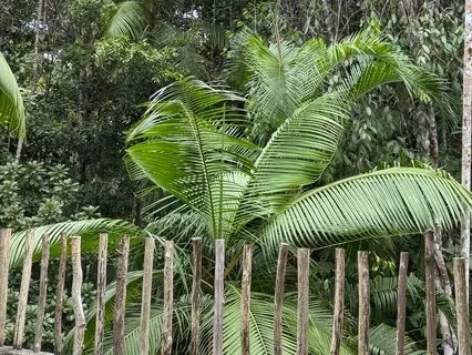 Yoga Nidra - Personal Sanctuary