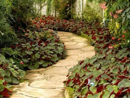 Yoga Nidra - Planting Seeds Of Transformation