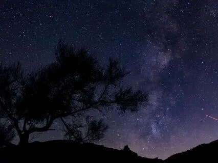 Yoga Nidra Practice (Condensed Version)