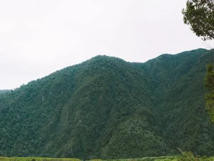 Yoga Nidra Practice For Creating Mindset Shifts