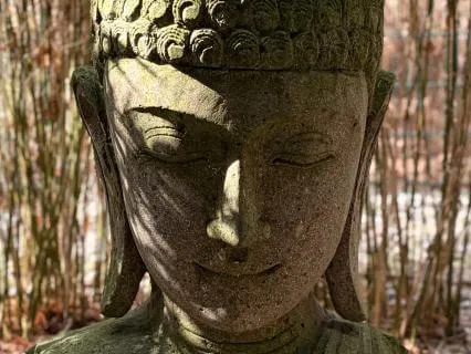 Yoga Nidra – Pranamaya Kosha With Om So Hum Mantra