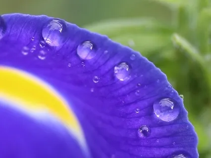 Yoga Nidra Pranic Healing