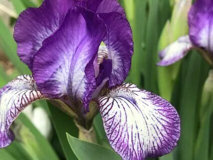 Yoga Nidra: Pratyahara 1