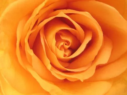 Yoga Nidra: Presence-ing