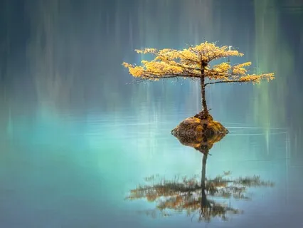 Yoga Nidra - Profound Peace & Calmness-4