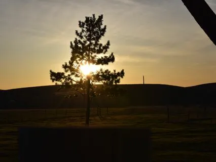 Yoga Nidra: Protection