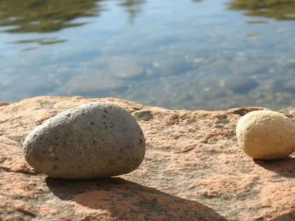 Yoga Nidra Quick Guided Nap