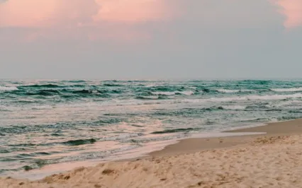 Yoga Nidra Quick Reset