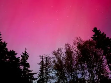 Yoga Nidra: Quieting The Overwhelm (Live)