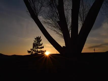 Yoga Nidra: Radiant Heart