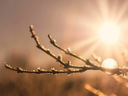 Yoga Nidra: Rebirth Of The Year (Imbolc)