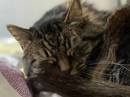 Yoga Nidra - Reboot The Nervous System