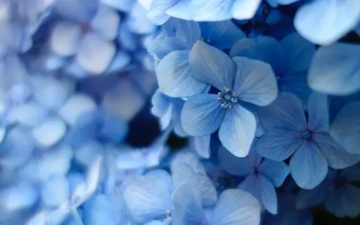 Yoga Nidra - Reboot Your Nervous System ( With Music)