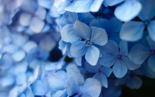 Yoga Nidra - Reboot Your Nervous System