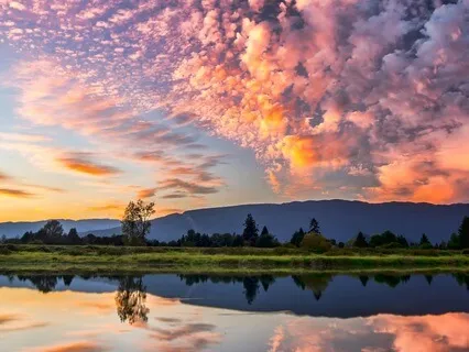 Yoga Nidra: Reclaim Your Energy