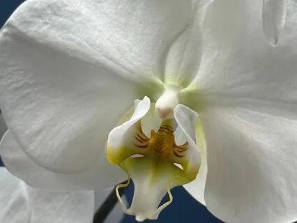 Yoga Nidra Reduce Anxiety And Find Tranquility