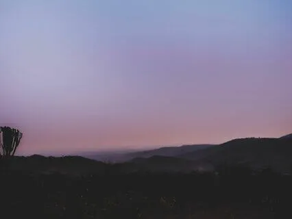 Yoga Nidra: Relax Into Softness