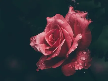 Yoga Nidra For Total Relaxation, Rest, & Rejuvenation