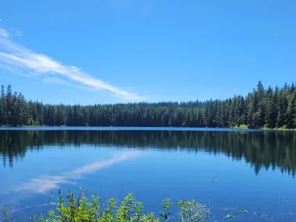 Yoga Nidra Relaxation At The Lake