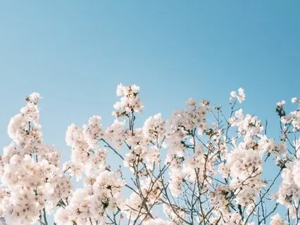 Yoga Nidra Relaxation for Anxiety