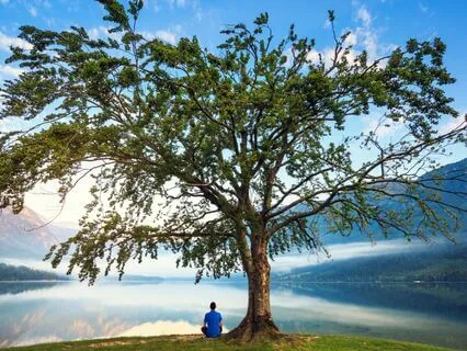 Yoga Nidra Relaxation for Grounding