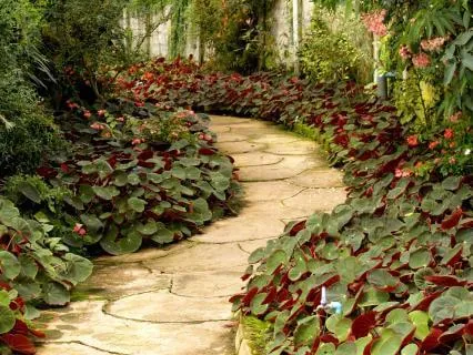 Yoga Nidra - Releasing Disappointment & Restoring Hope